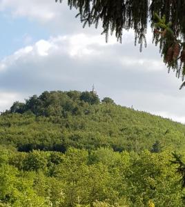 Maison de vacances Ferienhaus \ Am Staufenberg 1 38889 Blankenburg Saxe-Anhalt