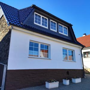 Ferienhaus Blaue Blume mit 11 kW Ladestation, Kamin, Terrasse, eingezäuntem Garten, WLAN, Netflix, 2 Hunde willkommen!