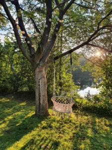 Ferienhaus blauer See
