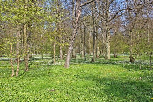 Ferienhaus Breege RUeG 1952