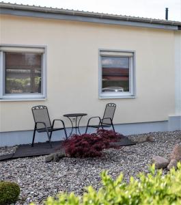 Ferienhaus Claire am Klostersee, Urlaub mit Hund