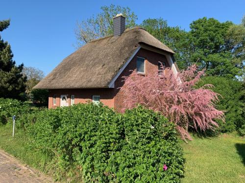 Ferienhaus Clara