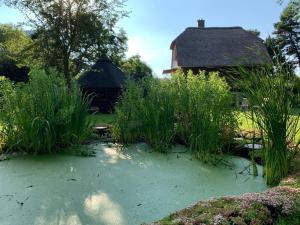 Ferienhaus Clara