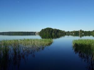 Maison de vacances Ferienhaus direkt am See 65 Karl-Marx-Damm 15526 Bad Saarow Brandebourg