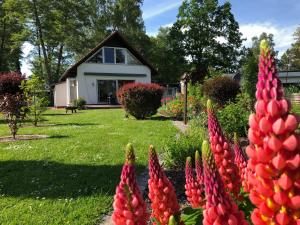 Ferienhaus direkt an der Spree mit Sauna und Whirlpool