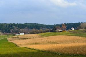 Maison de vacances Ferienhaus Ederhof - Idyllischer Vierseithof, kinder- und hundefreundlich, Referenzen auf FeWo-direkt nachlesbar 111 Hauptmannsberg 94501 Aidenbach Bavière