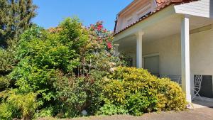 Ferienhaus \