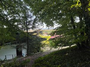 Ferienhaus Eifelblick