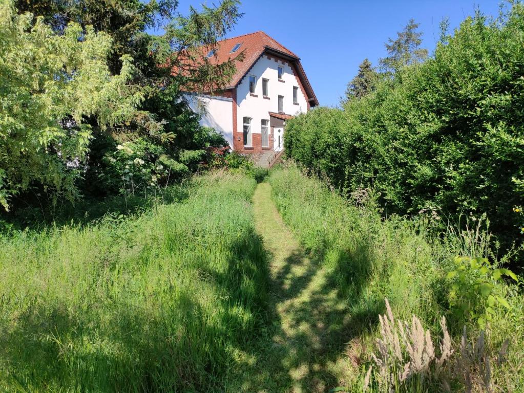 Ferienhaus Erna Trebbus Nr. 7, 03253 Doberlug-Kirchhain