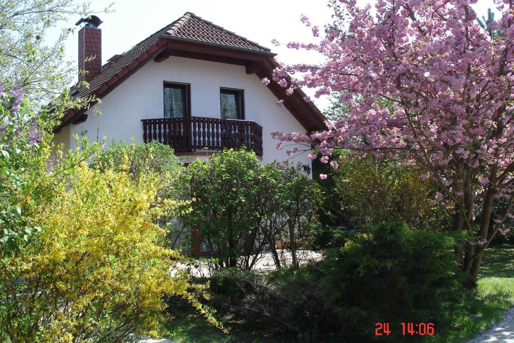 Ferienhaus \ Steinweg 19, 99826 Frankenroda