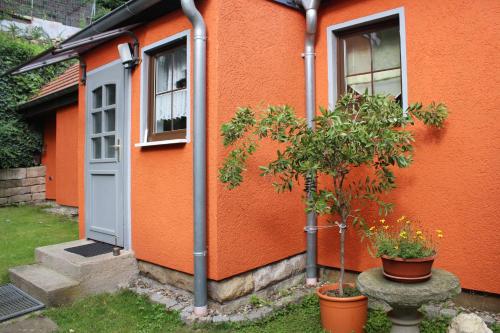 Ferienhaus Franz - an der Elbe, mit großem Garten