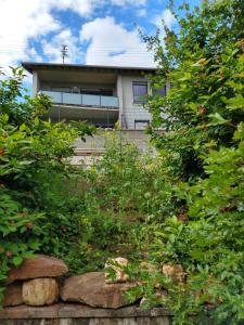 Maison de vacances Ferienhaus Fräulein Frenz Altschmiedestraße 30 54669 Bollendorf Rhénanie-Palatinat