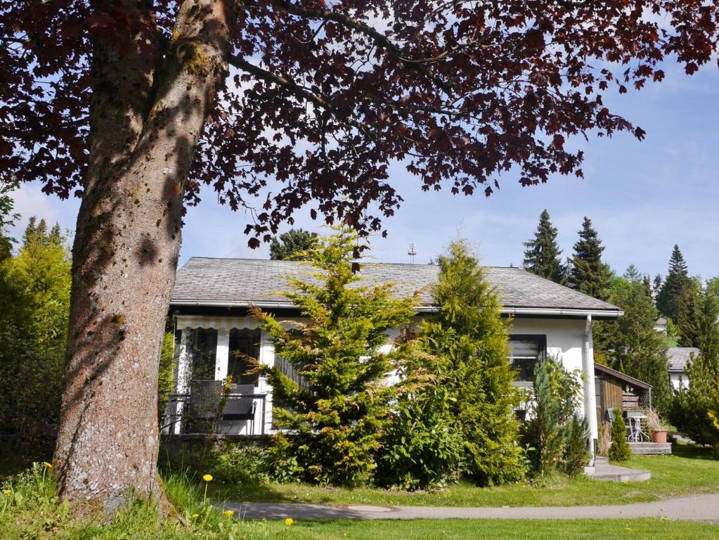 Ferienhaus FREE WILLI 1 Im Ferienpark Haus 29, 34508 Willingen