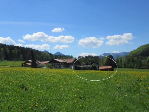 Ferienhaus Froschsee