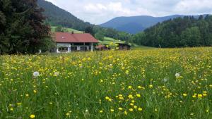 Ferienhaus Froschsee