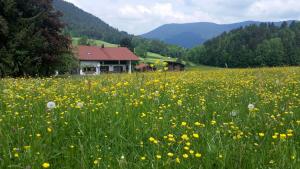 Maison de vacances Ferienhaus Froschsee Froschsee 22 b 83324 Ruhpolding Bavière