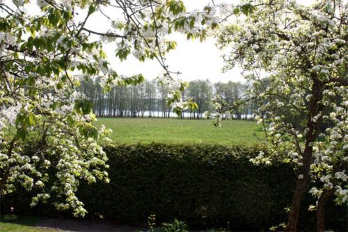 Ferienhaus Fuerstensee SEE 5301
