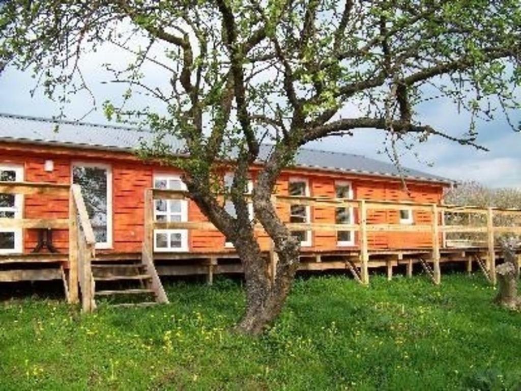 Ferienhaus für 3 Personen ca 70 m in Gerswalde, Brandenburg Uckermark Ort Berkenlatten 7, 17268 Gerswalde