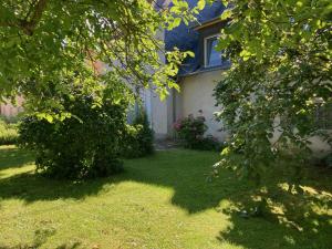 Ferienhaus Gartenblick
