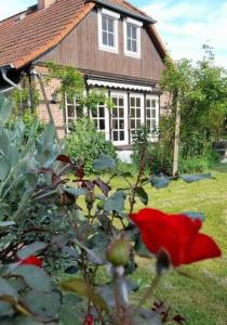 Maison de vacances Ferienhaus Gartower See 35 Elsebusch 29471 Gartow Basse-Saxe
