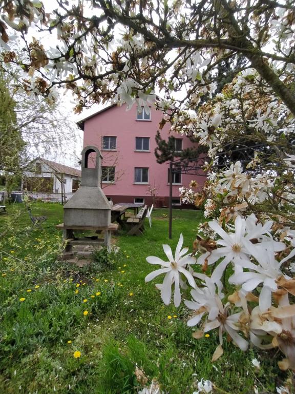 Ferienhaus Günter Wohlmuthäuserstr.30 OT Metzdorf, 74670 Forchtenberg