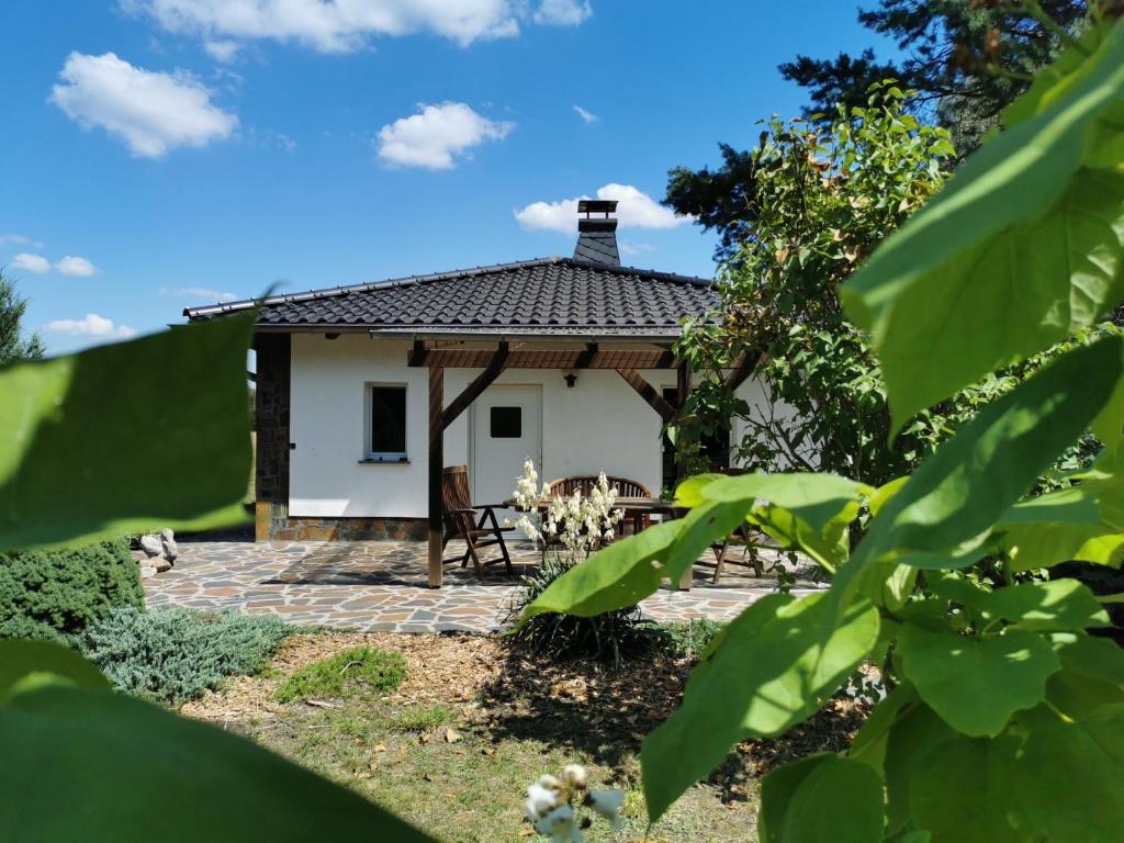 Ferienhaus Hase Bomsdorfer Hof Bomsdorfer Hof OT Jüdenberg, 06773 Gräfenhainichen