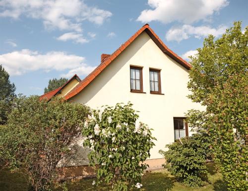 Ferienhaus Hassleben UCK 1221