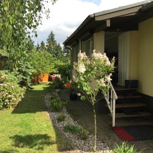 Maison de vacances Ferienhaus Heideblick Bad Schmiedeberg - Reinharz Reinharz 64c 06905 Bad Schmiedeberg Saxe-Anhalt