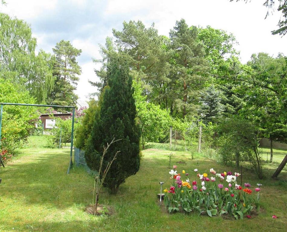 Ferienhaus Himmelpfort SEE 8861 Zur Hasenheide 7, 16798 Pian