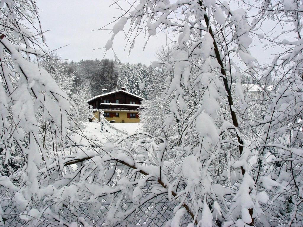 Ferienhaus Höhenblick in Winterberg-Langewiese