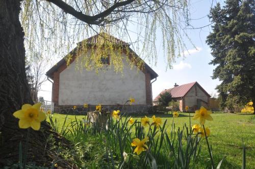 Ferienhaus Ilse-Bilse