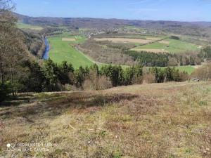 Maison de vacances Ferienhaus im Ederbergland 16 Kiefernhain Reddighausen 35116 Hatzfeld Hesse