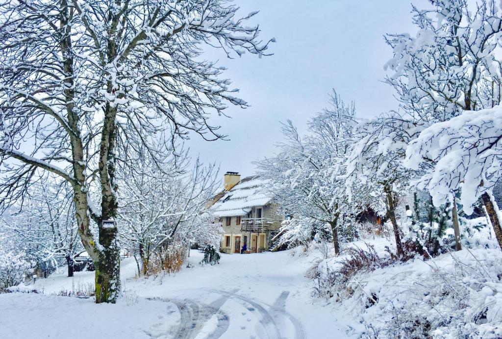 Ferienhaus im Obstgarten