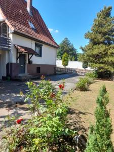 Ferienhaus International