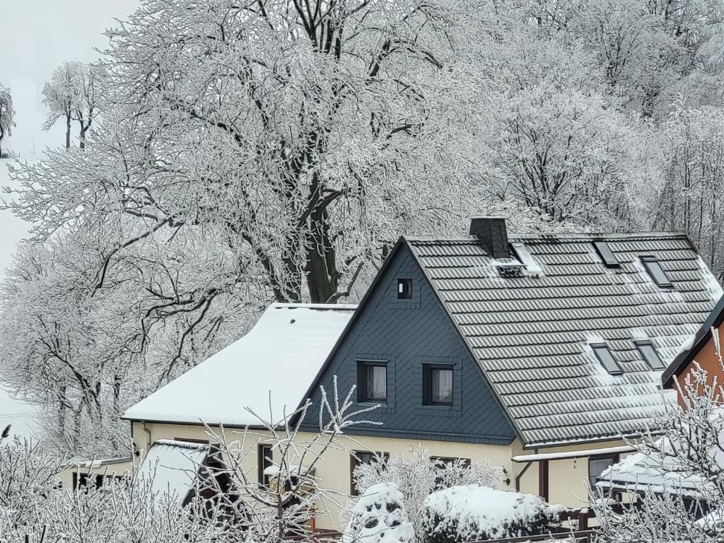 Ferienhaus Keppler im Erzgebirge 2 Neue Siedlung, 09619 Sayda