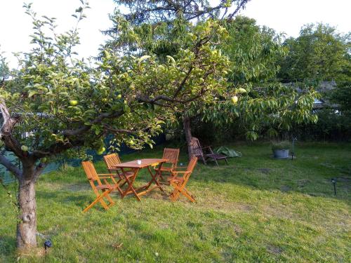 Ferienhaus Kranichhorst - Exklusiv-Nutzung mit großem Garten und Strandnähe