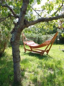Ferienhaus Kranichhorst - Exklusiv-Nutzung mit großem Garten und Strandnähe