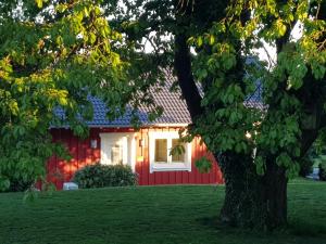 Maison de vacances Ferienhaus Löh 8 Vor dem Löh 56271 Kleinmaischeid Rhénanie-Palatinat