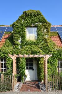 Ferienhaus Menschen, Meehr & wilder Wein