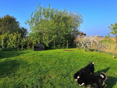 Ferienhaus Mia, Urlaub mit Hund, eingezäunter Garten, Friedrichskoog-Spitze