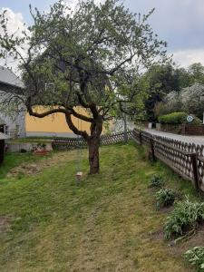 Maison de vacances Ferienhaus mit Flair Hauptstraße  9 Haus 01778 Geising Saxe