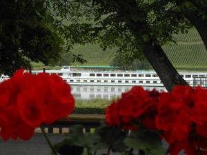 Ferienhaus Mosel