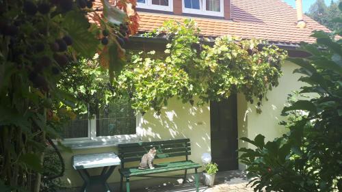 Ferienhaus Puttrich