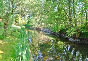 Ferienhaus Rheinsberg SEE 8701