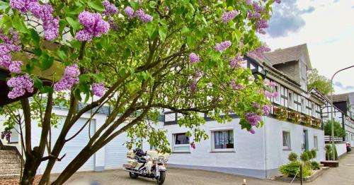 Ferienhaus Sauerland-Träume