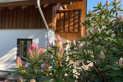 Ferienhaus Sauerland