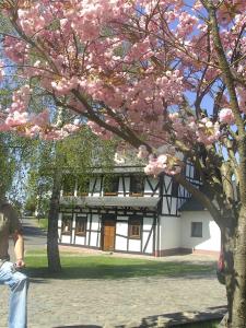 Maison de vacances Ferienhaus Schmitt im vogelsang 1 56290 Beltheim Rhénanie-Palatinat