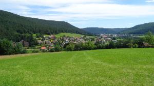 Maison de vacances Ferienhaus Schmuckkästle Tonbachstr. 74 72270 Baiersbronn Bade-Wurtemberg