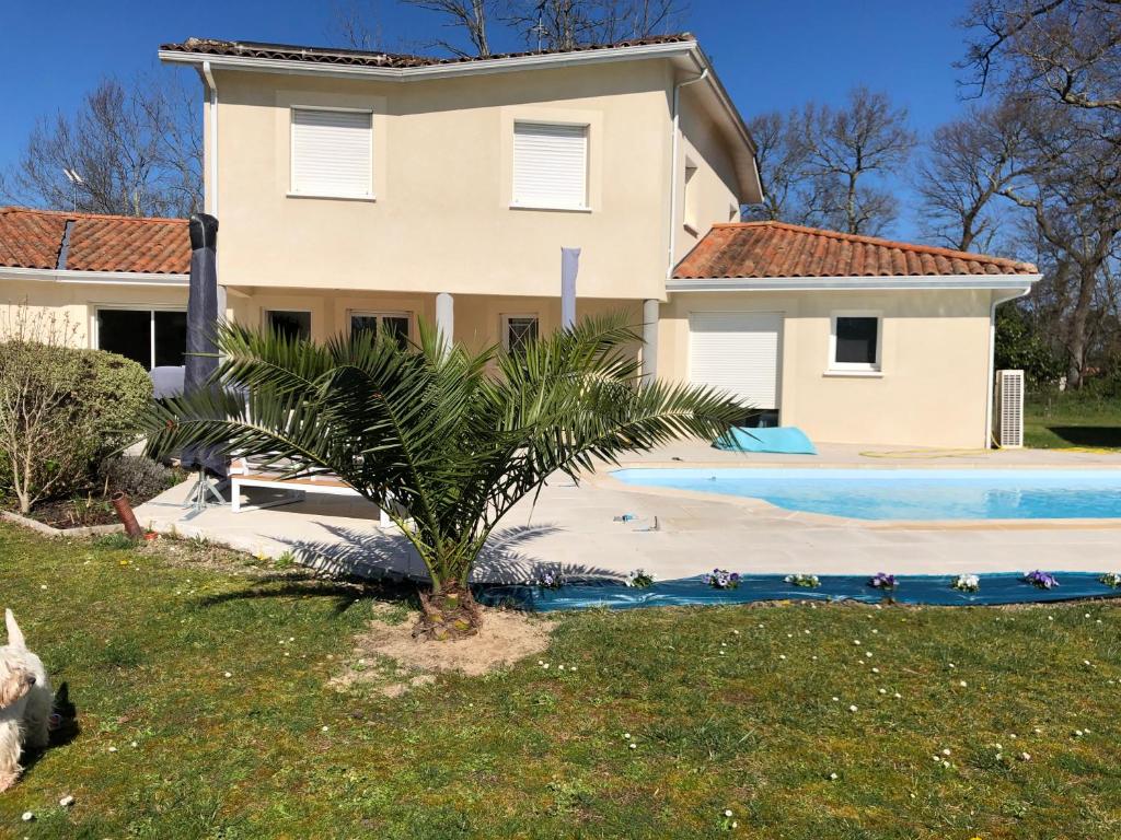 FERIENHAUS SEENSUCHT