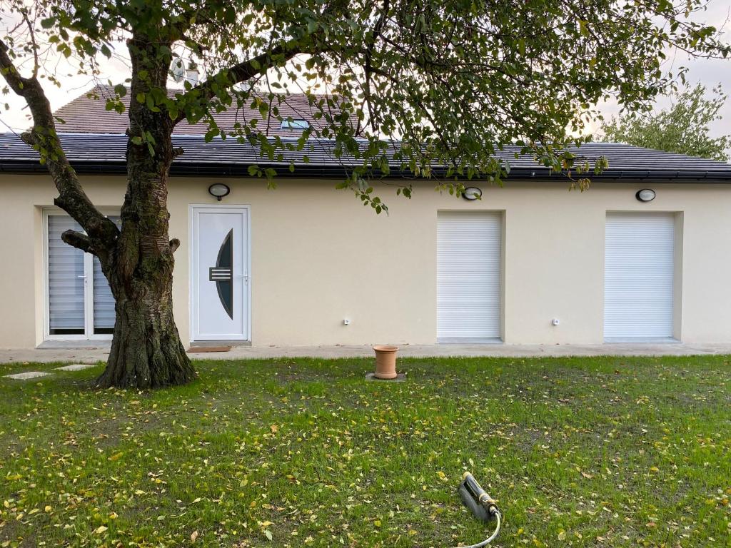 Ferienhaus Seeschwalbe 55 18356 Fuhlendorf